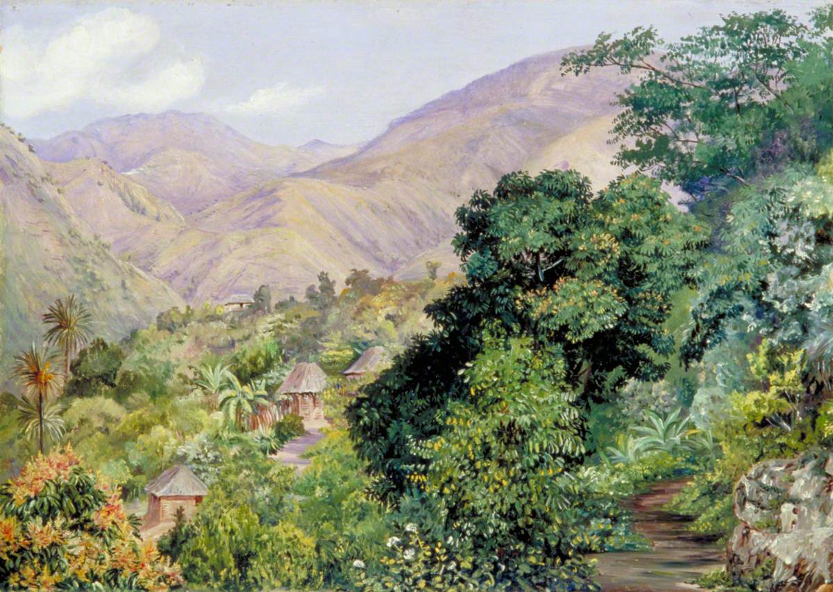 Distant View of Newcastle, Jamaica
