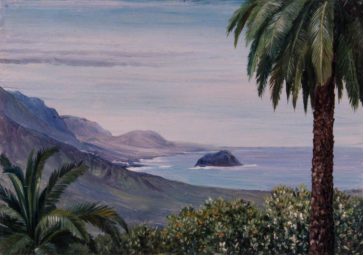 Near Echod, Teneriffe