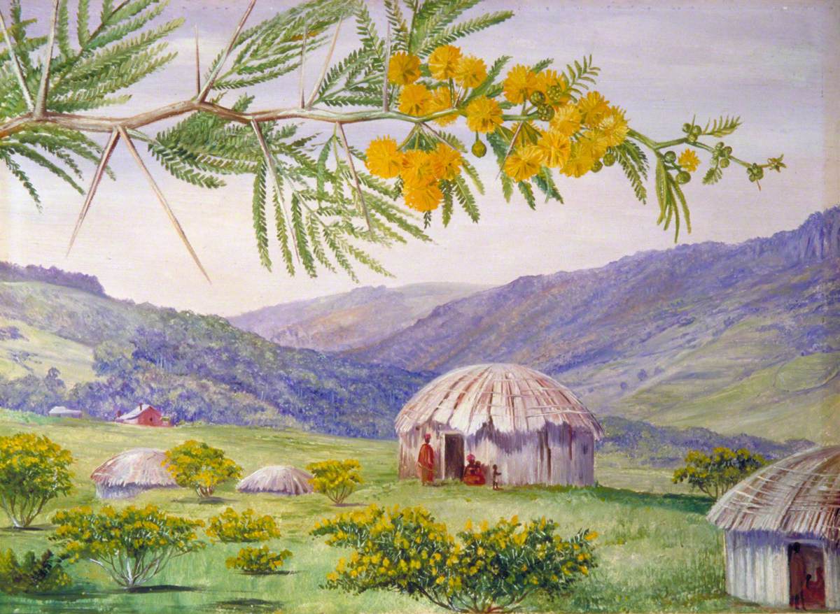 The South African Doornboom and Fingo Huts África do Sul