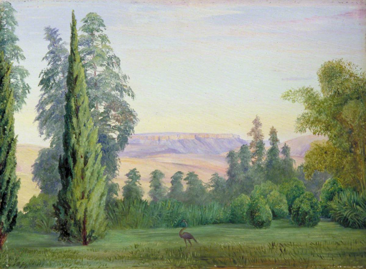 View of a Table Mountain from Bishop Colenso's House, Natal África do Sul