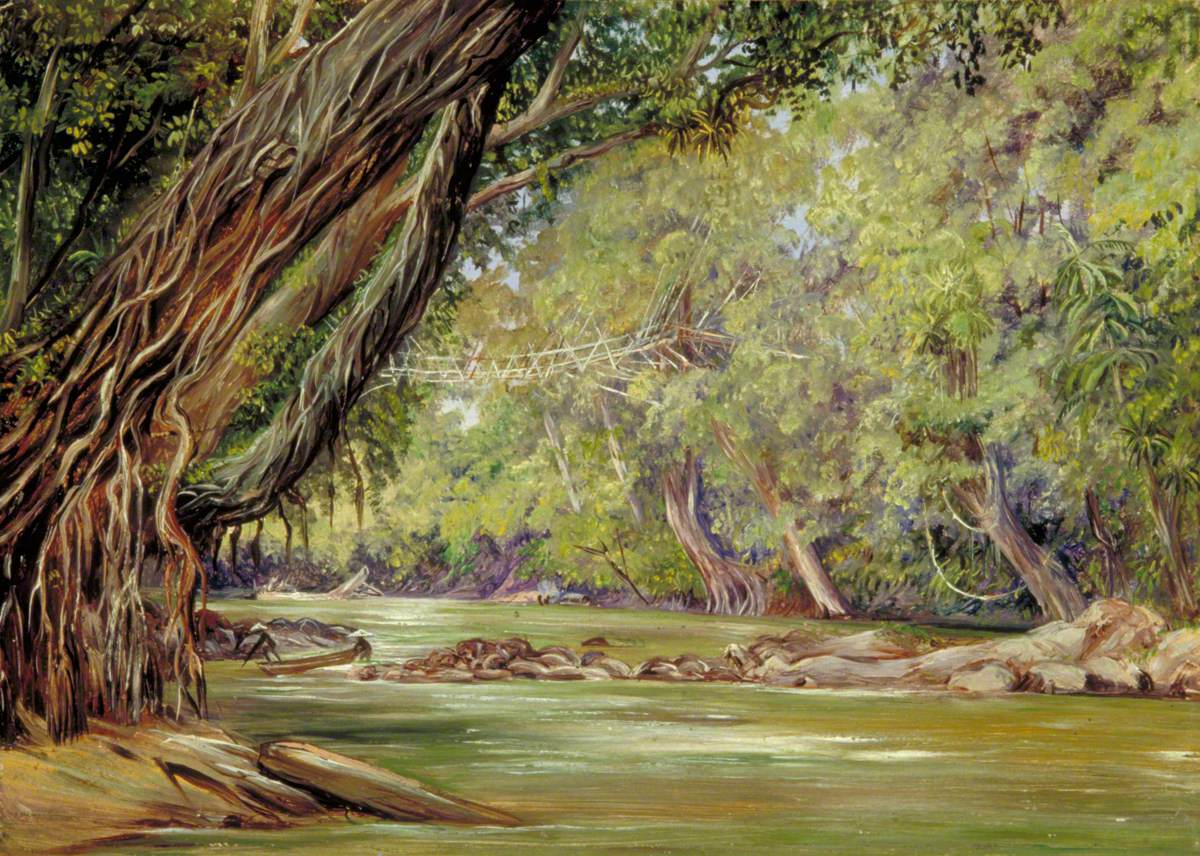 Cobweb Bridge in Borneo, Made by the Dyaks with Rattans and Bamboos