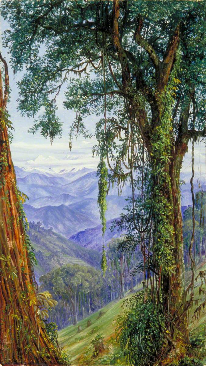 View from Rungaroon near Darjeeling, India