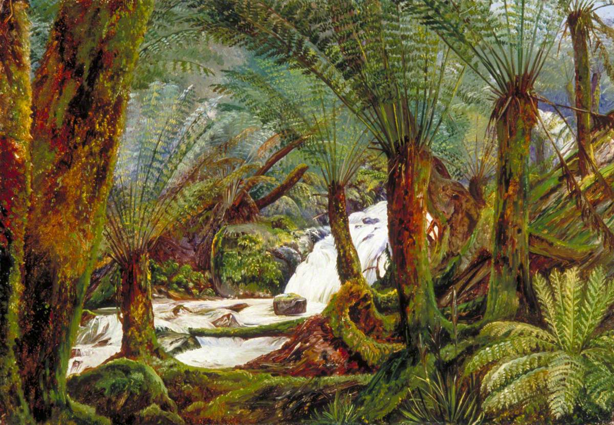 A Natural Fernery in Victoria