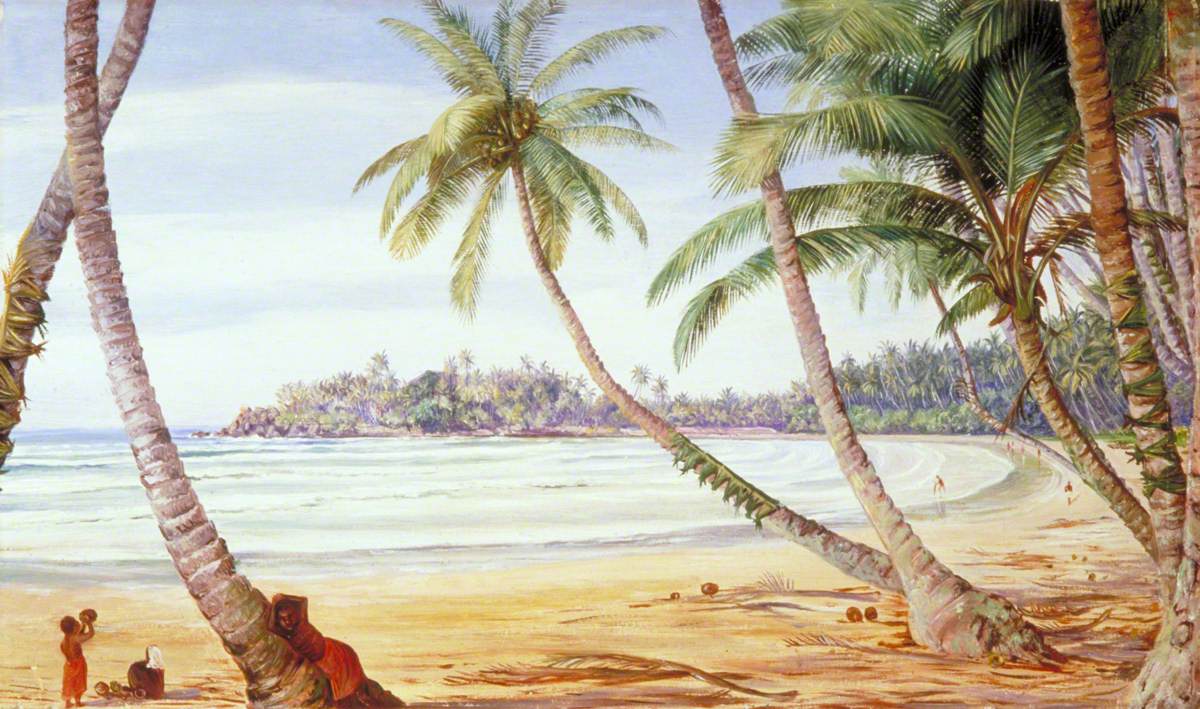Cocoanut Palms on the Coast near Galle, Ceylon 124