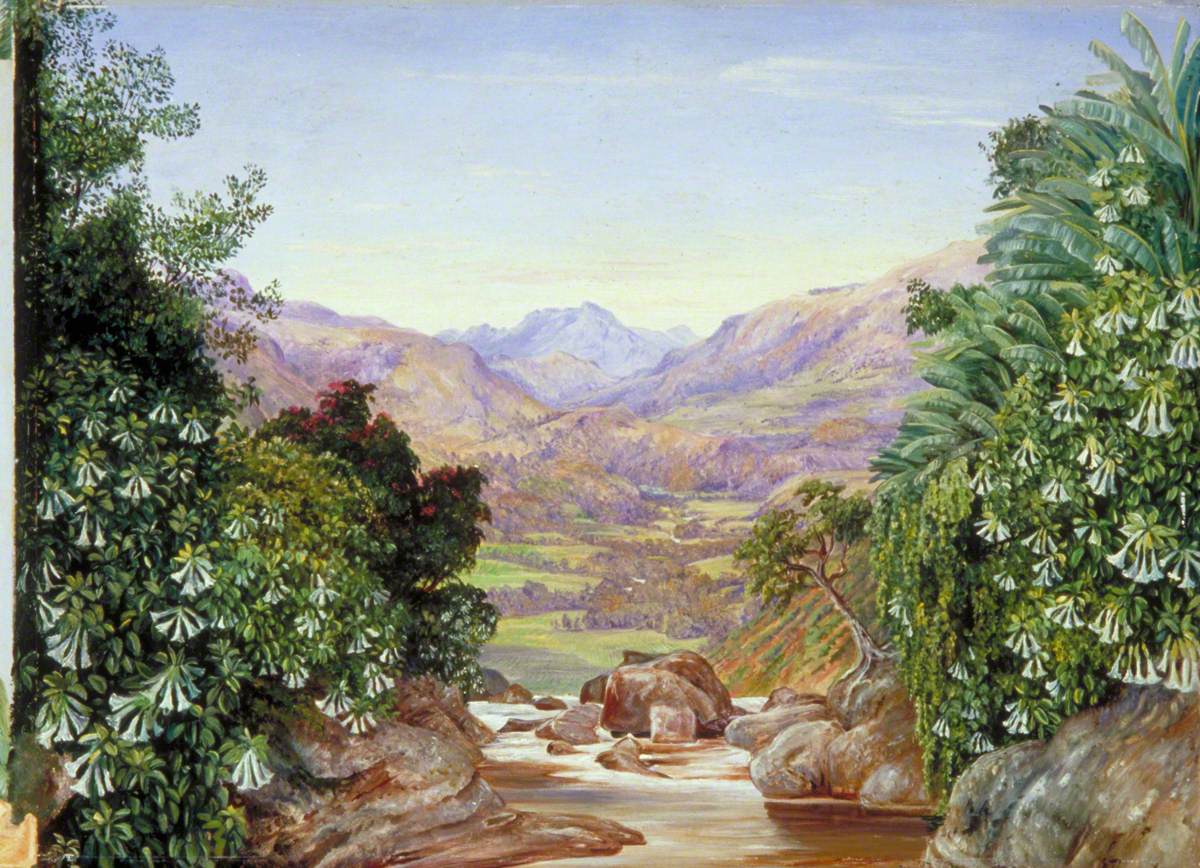 View from the Top of the Waterfall at Ramboddy, Ceylon 125