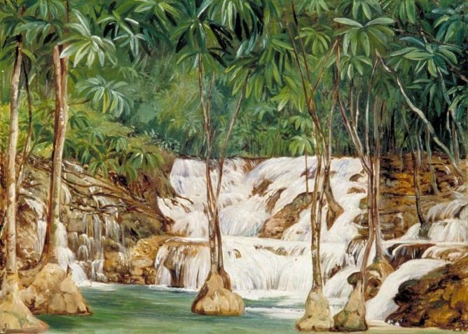 Figura 7 - A) A velha árvore de algodão. B) As tufas carbonáticas em uma das nascentes do roaring river.