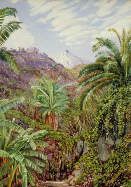 Figura 19 - A) Vista do pico do Teide a partir da ponte de Icod. B) Vista dos Jardins de Cochineal em Santa Cruz. C) Aloe e cactos continentais em floração na Ilha.