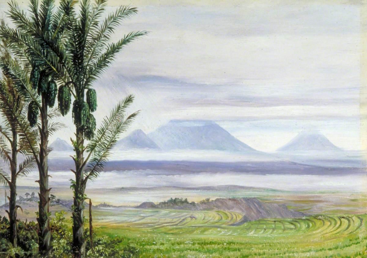 Figura 26 - Java. Vulcões vistos de Temanggung, com palmeiras-de-açúcar em primeiro plano. De Temanggung é possível avistar vários vulcões simultaneamente, entre eles o Sumbing, o Sindoro e o Merbabu.