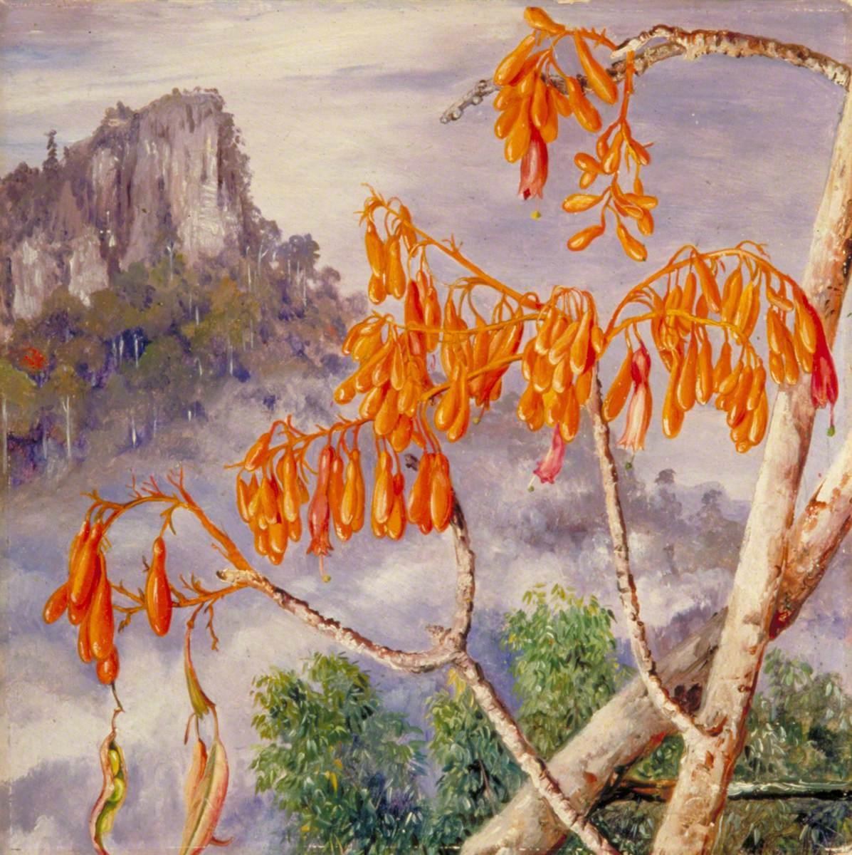 Figura 28 - Vista das Montanhas Calcárias de Sarawak.