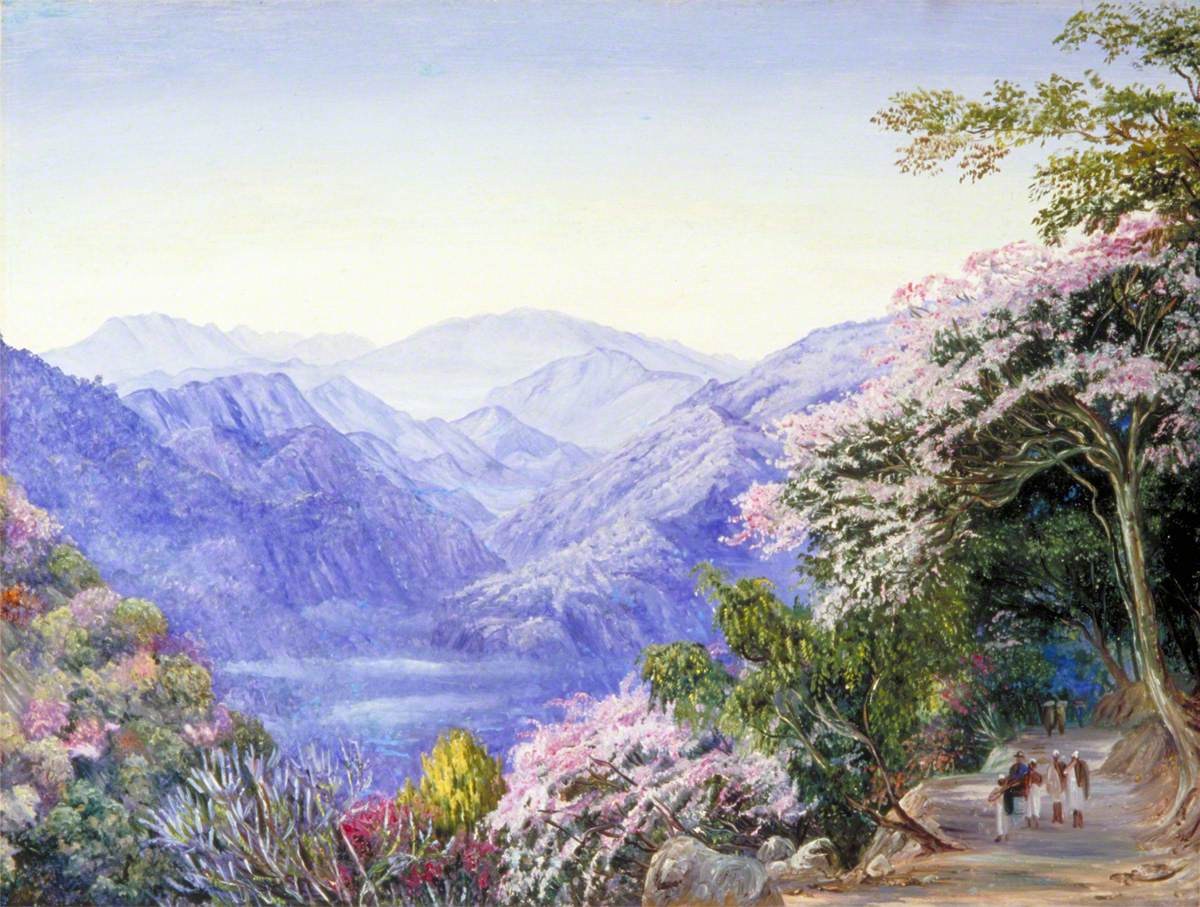 Figura 37 - Road up to Nainee Tal, India, in Spring Time: paisagem montanhosa indiana emoldurada pela floração da primavera.