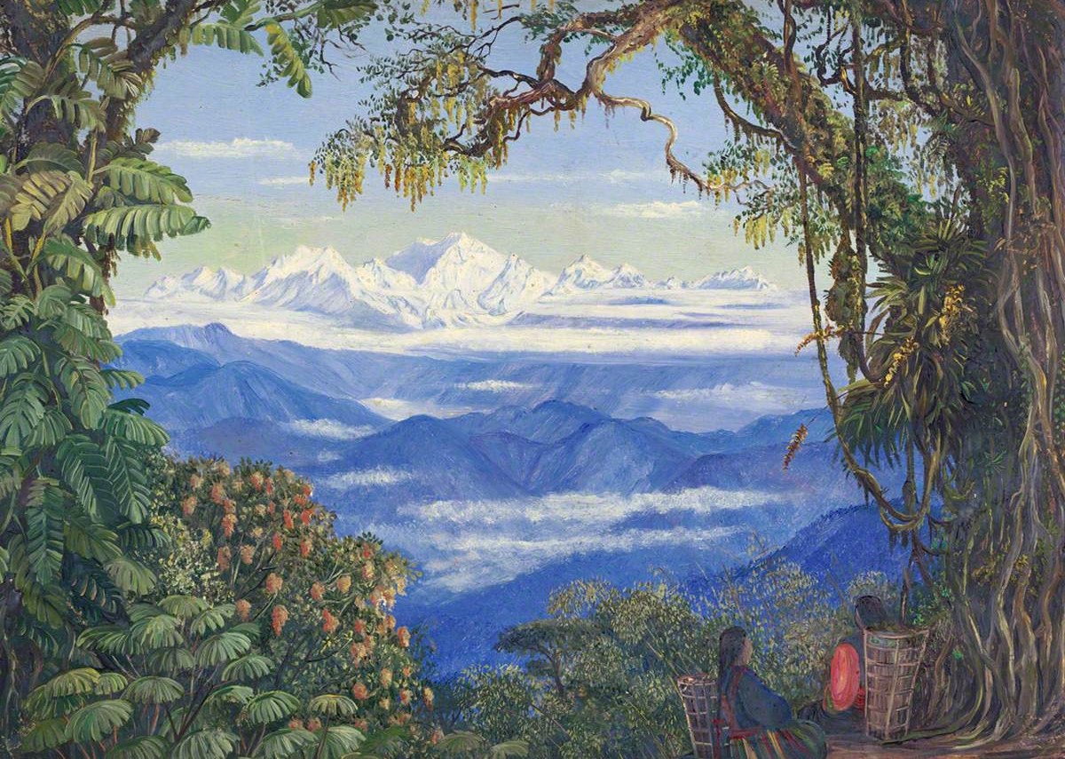 Figura 41 - Vista do Kanchenjunga emoldurada pela vegetação tropical e pelas grandes altitudes do Himalaia.