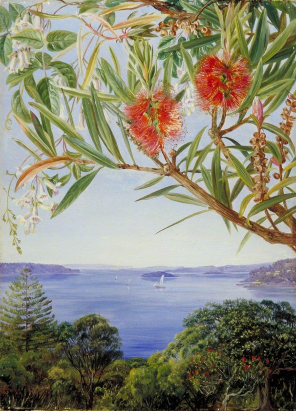 Figura 44 - A) Paisagem com vista para as Blue Mountains, Nova Gales do Sul. B) o contexto litorâneo-sedimentar de New South Wales com o porto ao fundo.