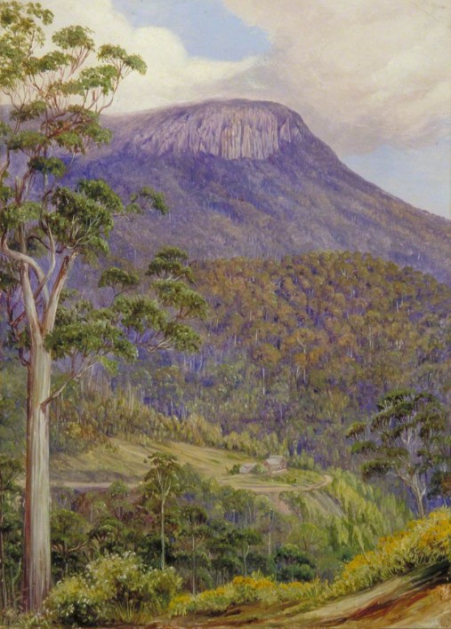Figura 48 - A) O perfil tabular ao fundo é o Monte Wellington (Kunanyi), cuja escarpa superior expõe a soleira de rochas jurássicas (~185 Ma) com disjunção colunar. B) Banksia of Tasmania. No primeiro plano, inflorescências de Banksia sp. e, ao fundo, o perfil cônico do Monte Wellington (Kunanyi).