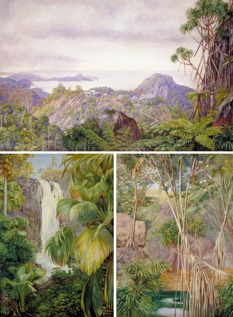 Figura 58 - Seychelles. A) Vista de Mahé com relevo granítico, ocupação humana e ilhas ao fundo. B) Cachoeira em ambiente tropical úmido. C) Pandanos, matacões graníticos e área encharcada em encosta.