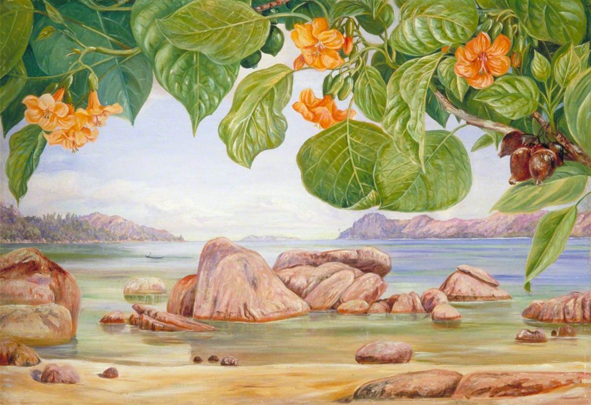 Figura 63 - Seychelles. Costa granítica com matacões em faixa de praia, mar calmo e relevo litorâneo ao fundo, enquadrados por vegetação tropical em primeiro plano.