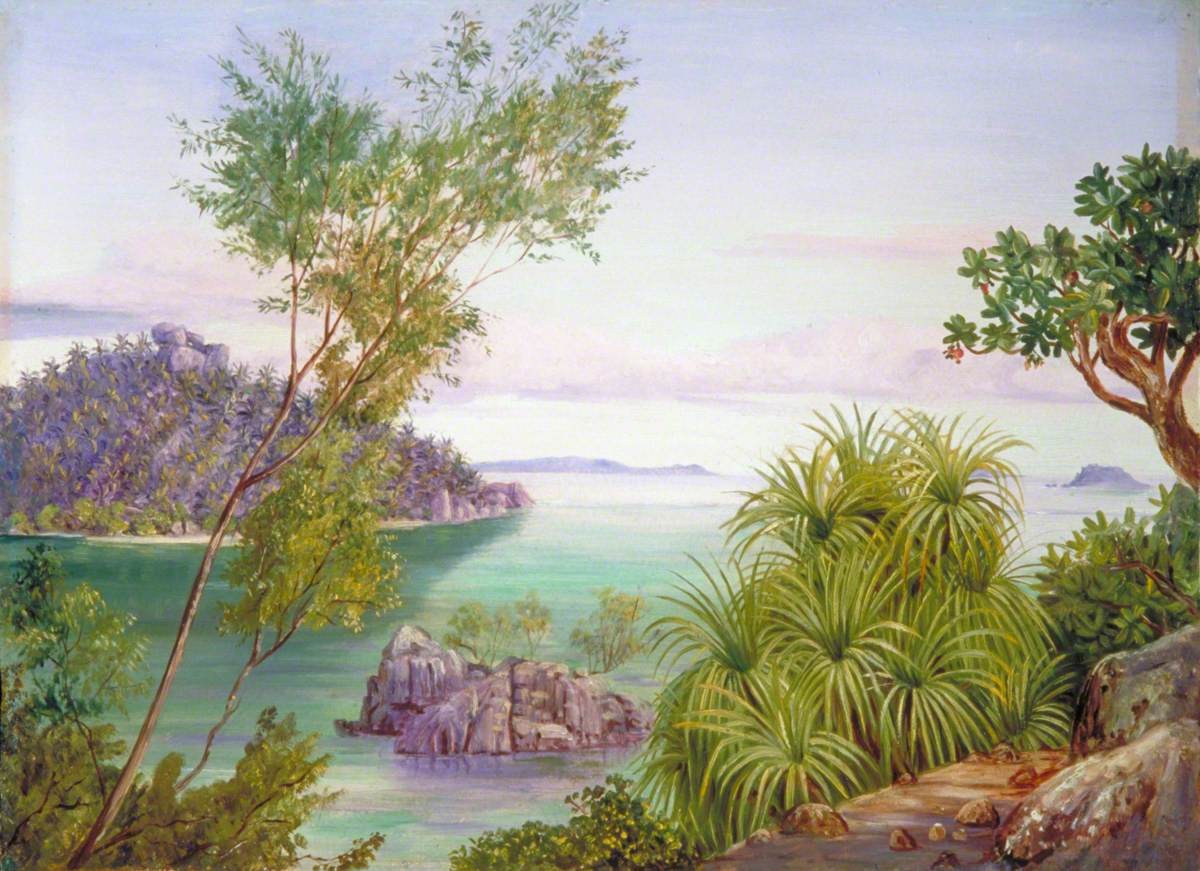 Figura 64 - Vista costeira com afloramentos graníticos e vegetação litorânea.
